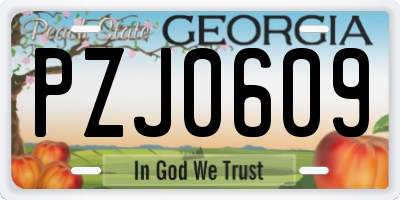 GA license plate PZJ0609