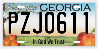 GA license plate PZJ0611