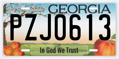 GA license plate PZJ0613