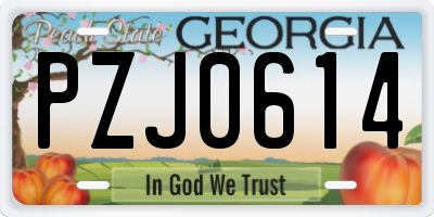 GA license plate PZJ0614