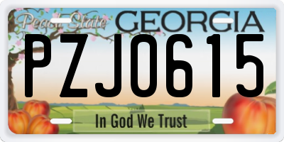 GA license plate PZJ0615