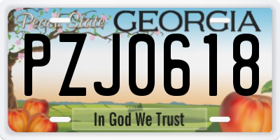 GA license plate PZJ0618