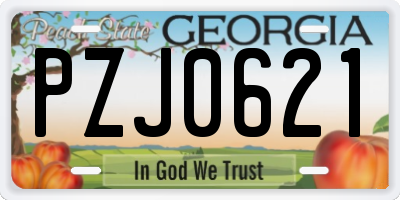 GA license plate PZJ0621