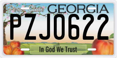 GA license plate PZJ0622