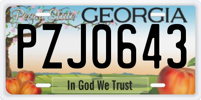 GA license plate PZJ0643