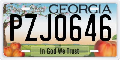 GA license plate PZJ0646