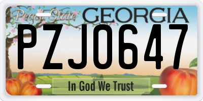 GA license plate PZJ0647