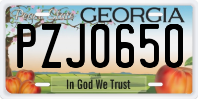 GA license plate PZJ0650