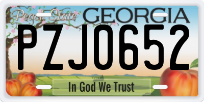 GA license plate PZJ0652