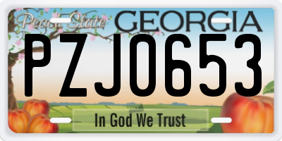GA license plate PZJ0653