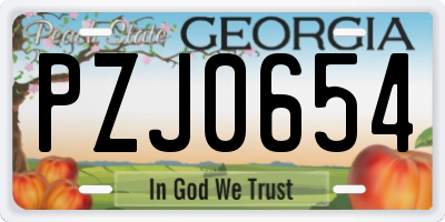 GA license plate PZJ0654