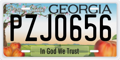 GA license plate PZJ0656