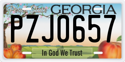 GA license plate PZJ0657