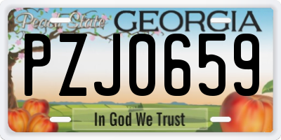 GA license plate PZJ0659