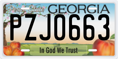 GA license plate PZJ0663