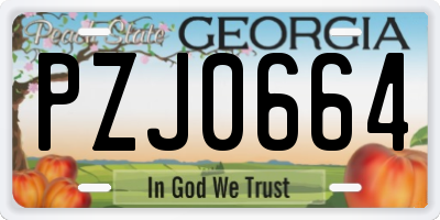 GA license plate PZJ0664