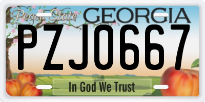 GA license plate PZJ0667
