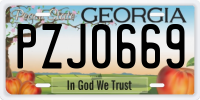 GA license plate PZJ0669