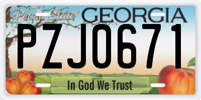 GA license plate PZJ0671