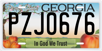 GA license plate PZJ0676