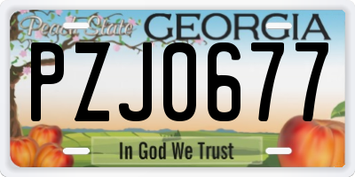 GA license plate PZJ0677
