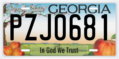 GA license plate PZJ0681