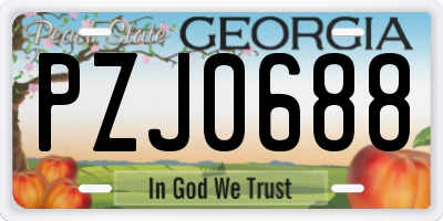 GA license plate PZJ0688
