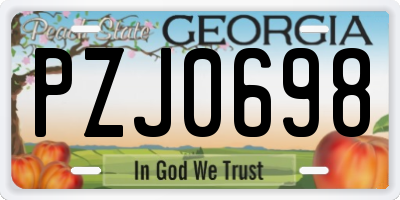 GA license plate PZJ0698