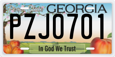 GA license plate PZJ0701