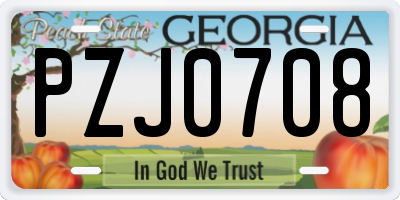 GA license plate PZJ0708
