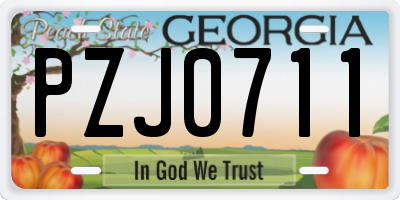 GA license plate PZJ0711