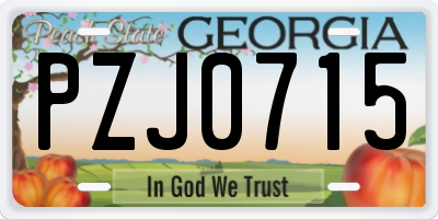 GA license plate PZJ0715