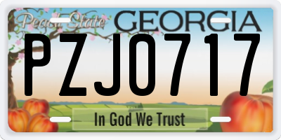 GA license plate PZJ0717