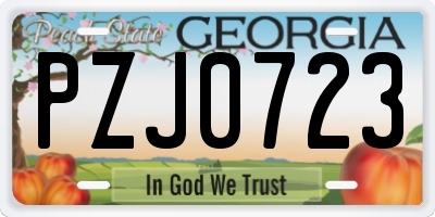 GA license plate PZJ0723