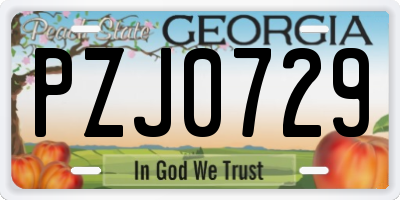 GA license plate PZJ0729