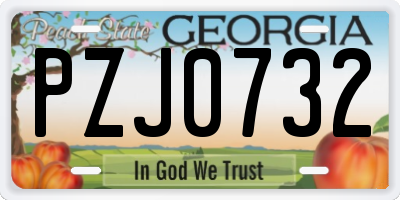 GA license plate PZJ0732