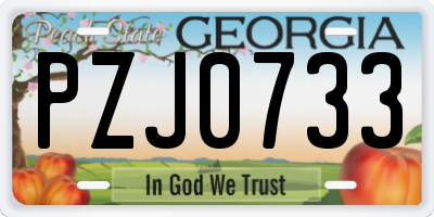 GA license plate PZJ0733