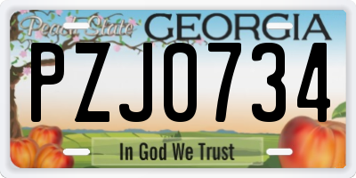 GA license plate PZJ0734