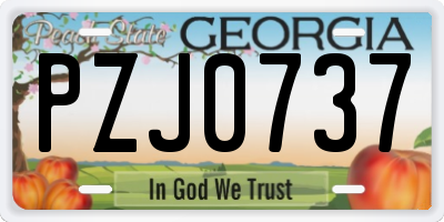 GA license plate PZJ0737