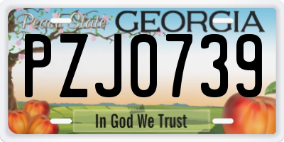 GA license plate PZJ0739