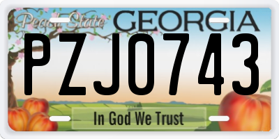 GA license plate PZJ0743