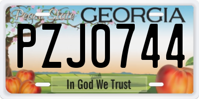 GA license plate PZJ0744