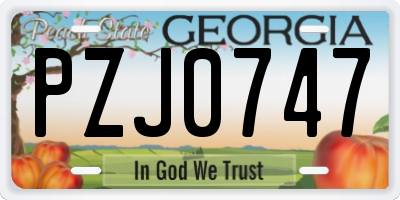 GA license plate PZJ0747