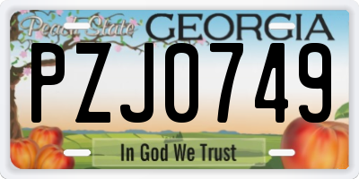 GA license plate PZJ0749