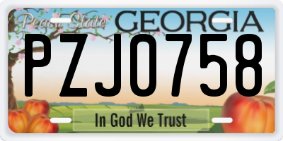 GA license plate PZJ0758
