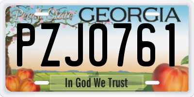 GA license plate PZJ0761