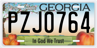 GA license plate PZJ0764
