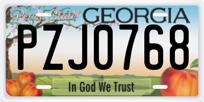 GA license plate PZJ0768