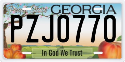 GA license plate PZJ0770