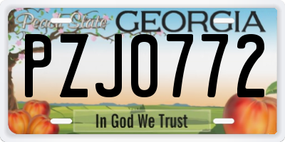 GA license plate PZJ0772